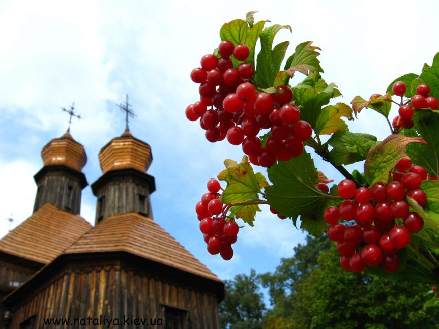 Самое главное — любовь